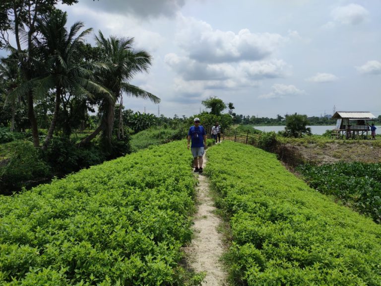 East Kolkata Wetland