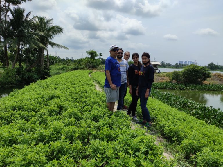 East Kolkata Wetland