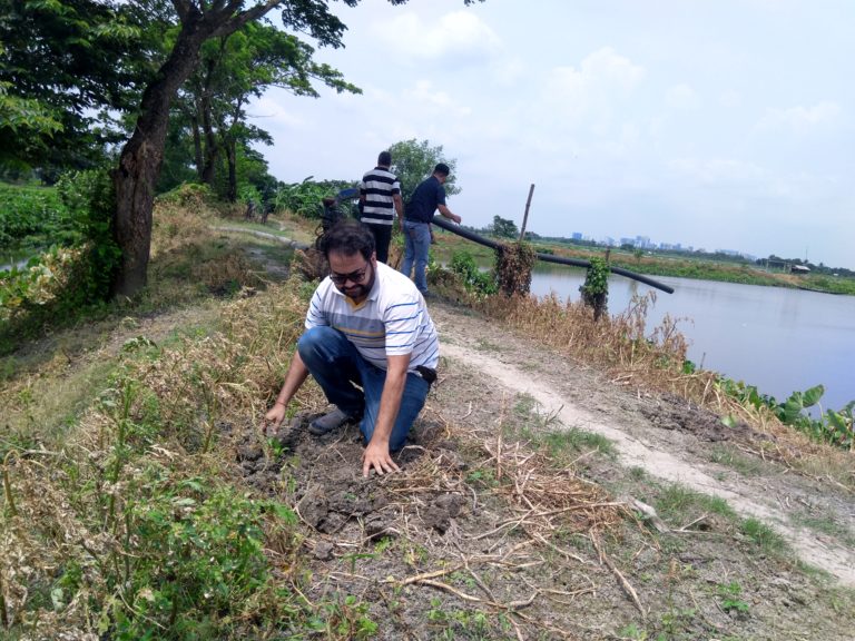 East Kolkata Wetland