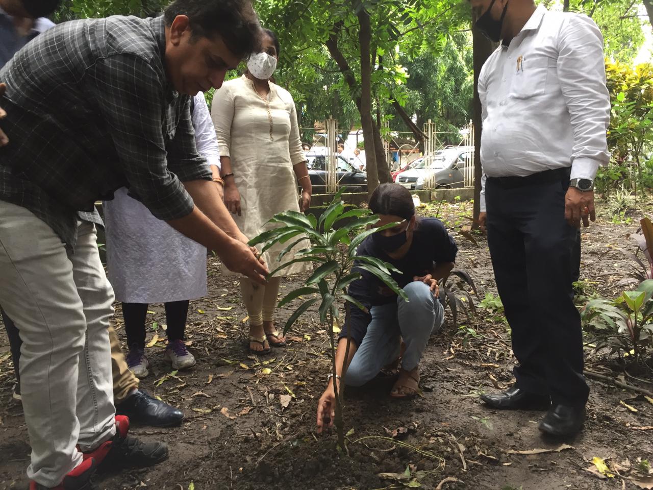 Plantation Programme at Alipore District and Session Court