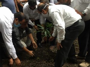 Plantation Programme at Alipore District and Session Court