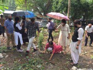 Plantation Programme at Alipore District and Session Court