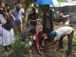 Plantation Programme at Alipore District and Session Court